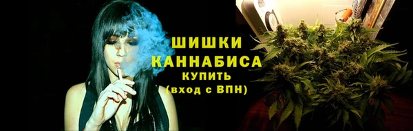 спайс Богданович
