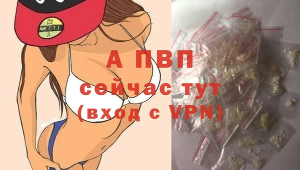 гашик Богородск